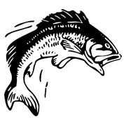 Bass-Fish
