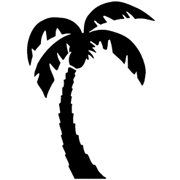Palm-Tree
