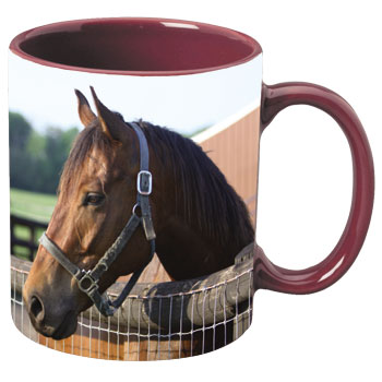 11 oz c-handle mug -  burgundy